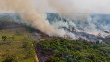 Imagem da floresta amazônica em chamas sendo desmatada