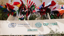 Imagem de  bandeiras de vários países na frente da fachada da COP28