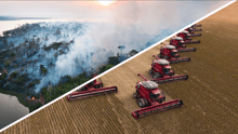fire and soy