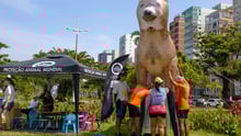 Ponto Animal Santos