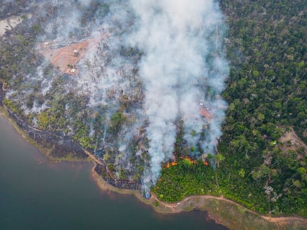 imagem de uma floresta incendiada no estado do Mato Grosso, Brasil.
