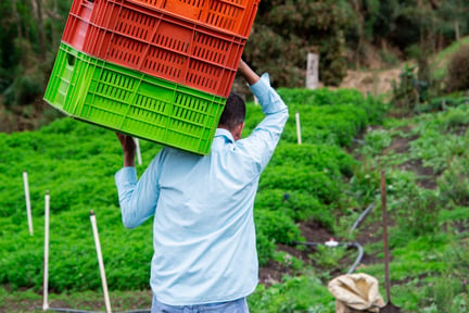 Trabalhador rural - transição justa nos sistemas alimentares