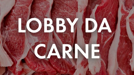 Imagem de fundo consta a foto de pedaços de carne crua. Em cima, há uma camada preta, com opacidade, e em cima o texto "Lobby da carne"