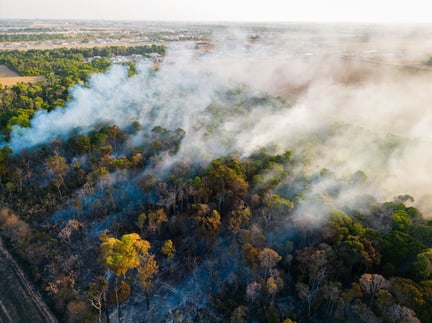 imagem da floresta Amazônica em chamas vista de uma câmera de cima com as árvores pegando fogo