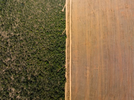 Foto aérea do Cerrado em que mostra do lado direito uma área desmatada e do lado esquerdo a vegetação em pé.