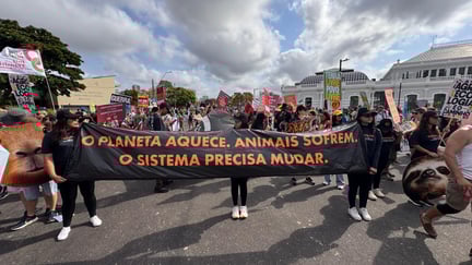 Voluntários estiveram junto à equipe da Proteção Animal Mundial na Marcha do Clima, em Belém.