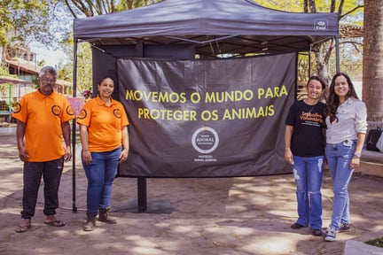 Voluntários em Tiradentes, Minas Gerais, posam para foto em frente ao stand do Ponto Animal. Do lado esquerdo para o direito, estão Cosme Alves - um homem negro, com cabelos grisalhos e óculos de graus -, Thayna do Reis André - uma mulher branca, de cabelos castanhos -, Polyana Abrantes - uma mulher branca, de estatura baixa e morena - e Thais Andressa - também uma mulher branca de cabelos castanhos. Ao fundo, tem um banner com a identidade visual da Proteção Animal Mundial com o escrito "Movemos o mundo para proteger os animais"