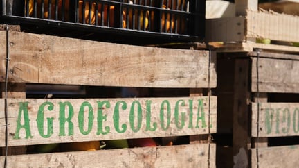 agroecologia: imagem de uma cesta de feira escrito agroecologia