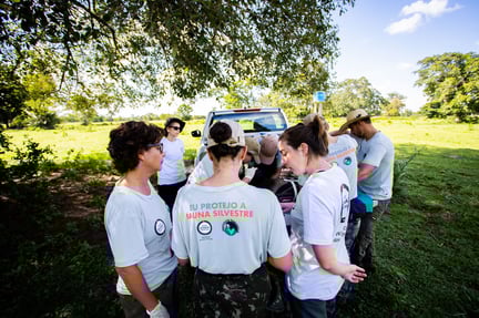 educação socioambiental: imagem de colaboradores da Proteção Animal Mundial em volta de um animal silvestre no meio de uma floresta