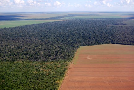 desmatamento: imagem da floresta amazônica com grande área desmatada