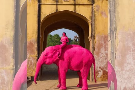 Elefanta pintada de rosa na Índia