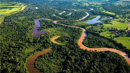Unidades de conservação: imagem de uma área de floresta restaurada com um rio atravessando as árvores