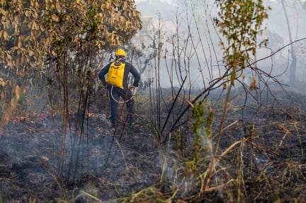 mudança climática: imagem de um bombeiro apagando incêndio em meio a floresta Amazônica em chamas