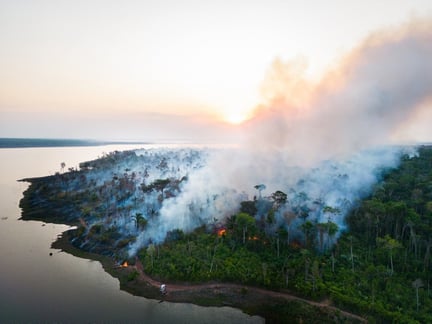 Foco de incêndio em floresta do Mato Grosso