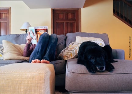 Cão preto deitado do lado direito do sofá, olhando para frente, enquanto sua tutora está ao lado esquerdo lendo uma revista
