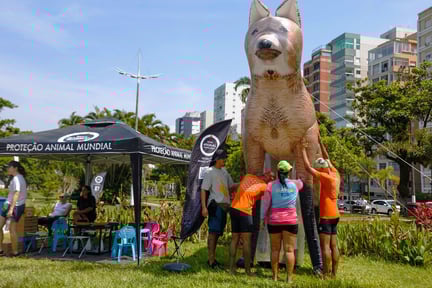 Ponto Animal Santos