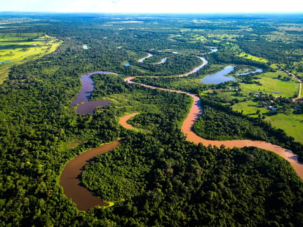 Biodiversidade: imagem de uma floresta brasileira com vegetação e rios cruzando a mata
