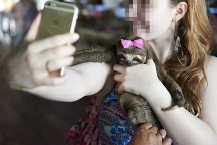 Turista segurando uma preguiça no colo, com a mão estendida segurando o celular para tirar uma selfie.