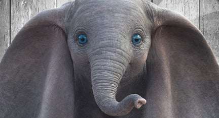 Elefantinho Dumbo em remake do filme clássico da Disney
