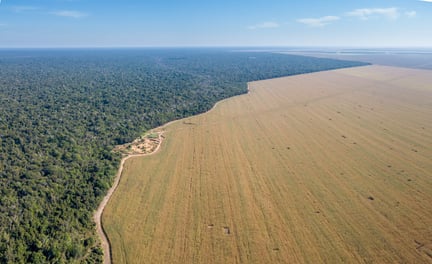 Vista aérea de drones da fronteira do território do Parque Indígena do Xingu e grandes fazendas de soja na floresta amazônica, Brasil.