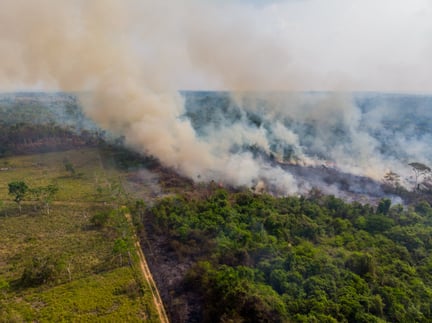 Imagem da floresta amazônica em chamas sendo desmatada