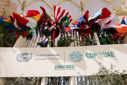 Imagem de  bandeiras de vários países na frente da fachada da COP28