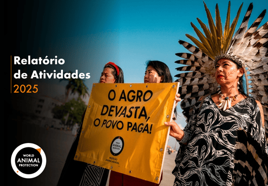Capa relatorio anual 2025.png