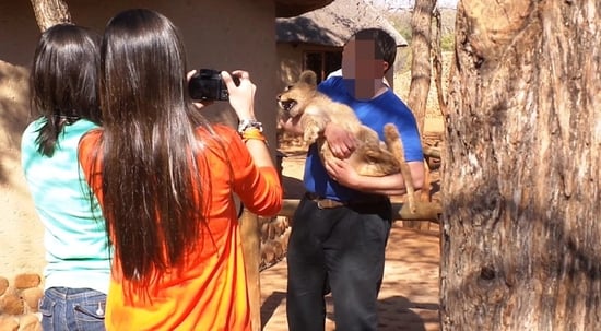 Lion cub selfie
