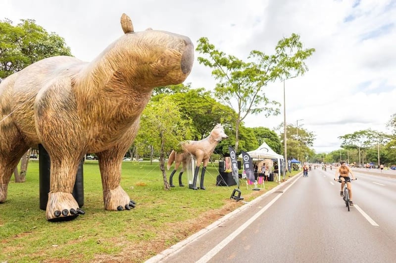 imagem das ruas de Brasília mostrando o ponto animal com infláveis de capivara, onça e lobo guará