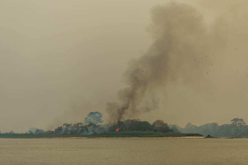 Imagem mostra área de floresta pegando fogo, com fumaça saindo em direção ao céu.