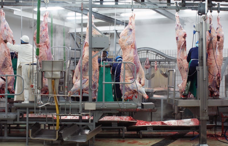 frigorífero com animais mortos pendurados.