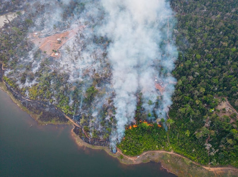 imagem de uma floresta incendiada no estado do Mato Grosso, Brasil.