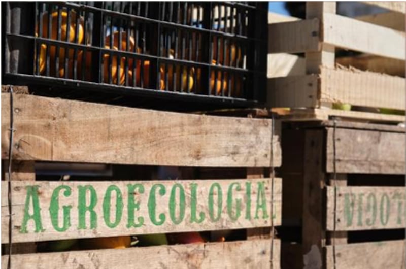 caixa de madeira com o letreiro "Agroecologia"