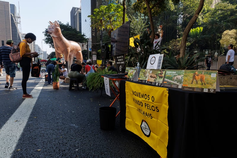 Imagem da ação offline na Avenida Paulsta em São Paulo com pessoas se movimentado perto do evento