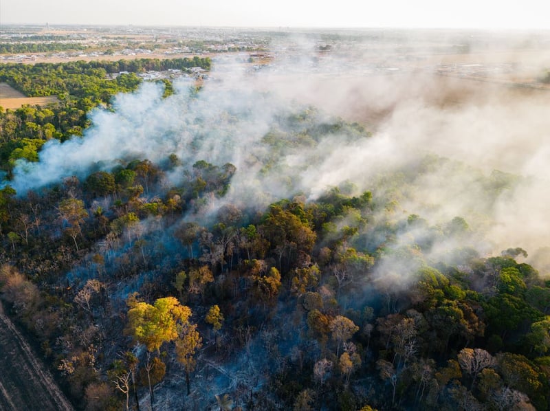 imagem da floresta Amazônica em chamas vista de uma câmera de cima com as árvores pegando fogo