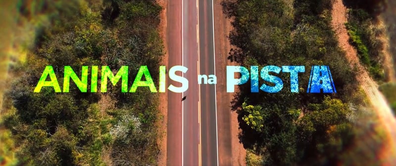 Reportagem do Fantástico