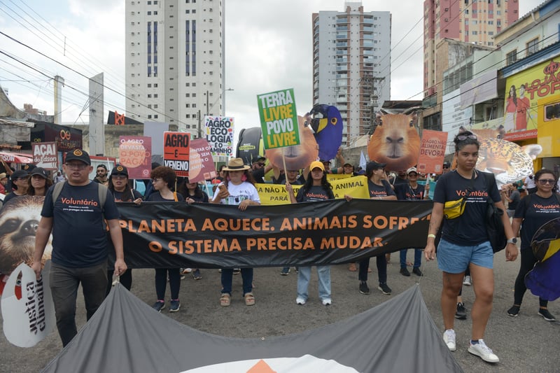 Pessoas segurando cartazes em manifestação
