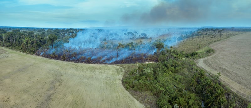 Imagem aérea de uma área desmatada ilegamente na Amazônia.