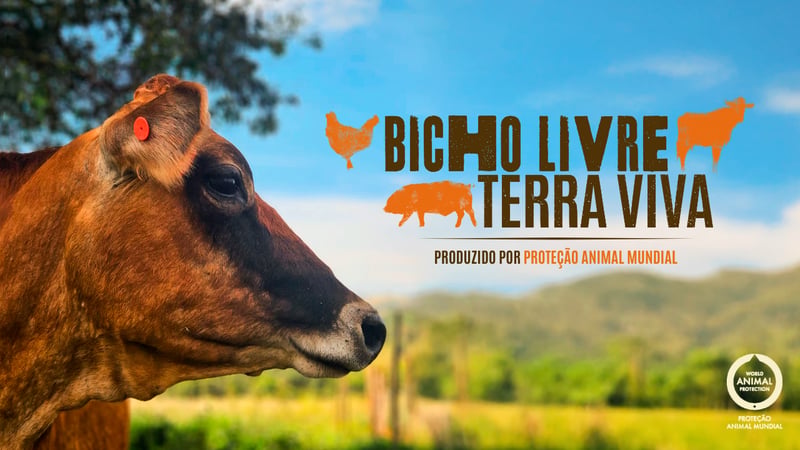 Bicho-livre-terra-viva