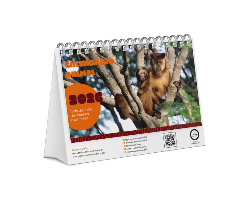 mockup do Calendário Animal 2026