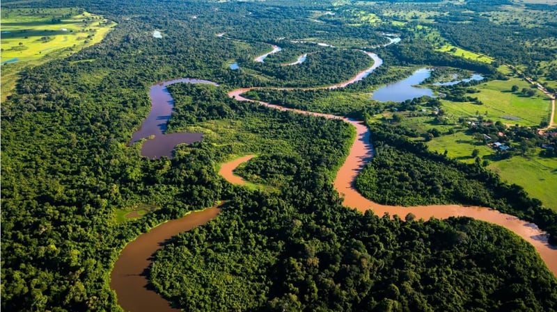 Unidades de conservação: imagem de uma área de floresta restaurada com um rio atravessando as árvores