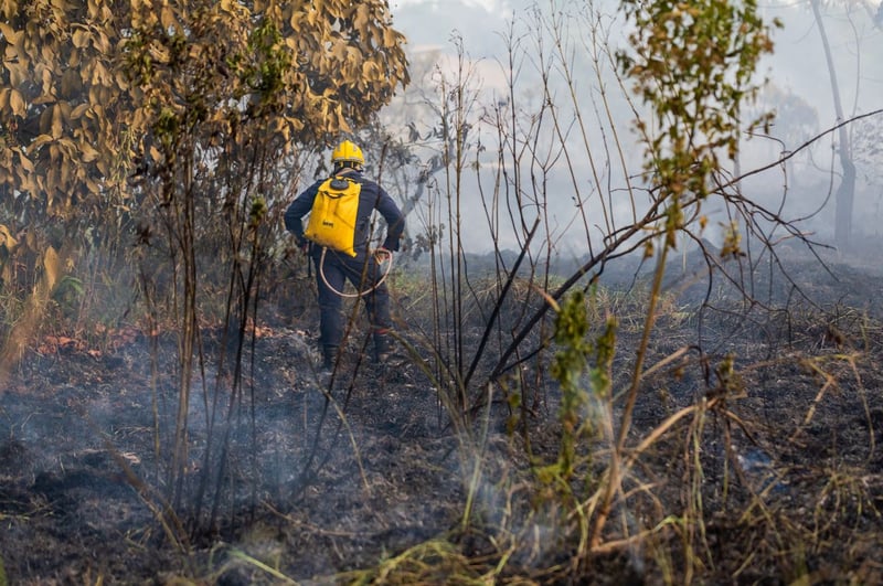 mudança climática: imagem de um bombeiro apagando incêndio em meio a floresta Amazônica em chamas