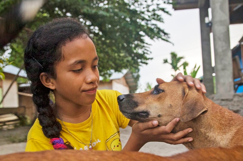 Menina faz carinho em cão vira-lata caramelo com focinho preto