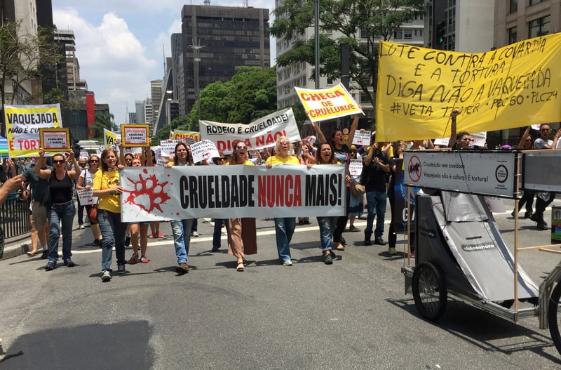 Milhares vão às ruas contra as vaquejadas e a PEC 50 em todo Brasil
