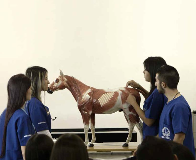 Conheça os vencedores do concurso “Métodos Substitutivos ao Uso Prejudicial de Animais no Ensino”