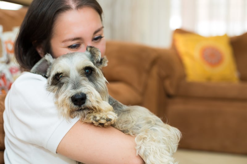 Desafio online #10DogDays irá premiar melhores tutores de cães