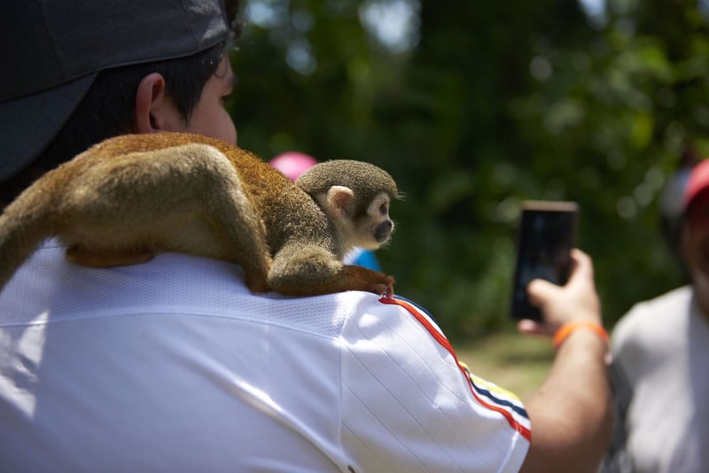 Turista usando celular para fazer selfie com macaco em seu ombro