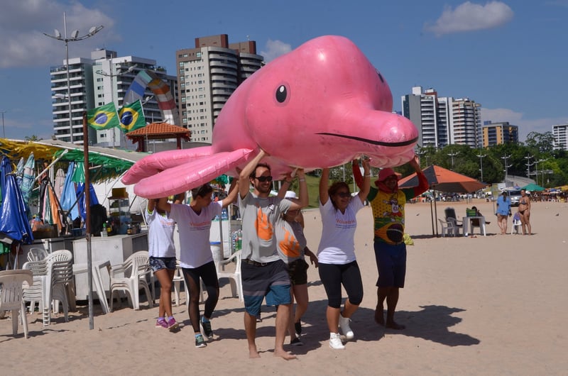 Desafio da Proteção Animal Mundial faz público repensar turismo com botos