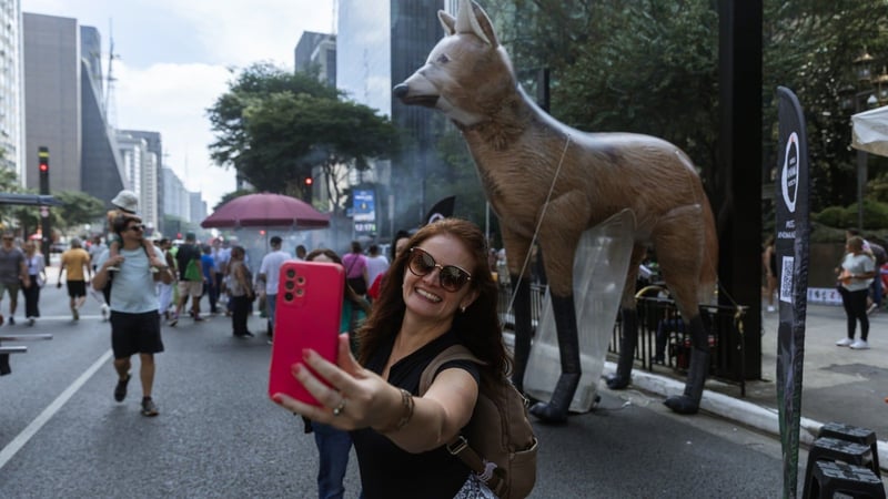 Apoiadora tirando selfie com inflável