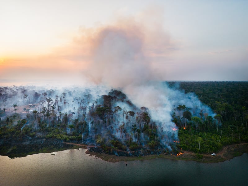 Imagem aérea mostra floresta no Mato Grosso pegando fogo, com fumaça subindo ao longo do céu.